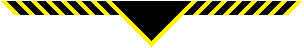Pheonix Scarf